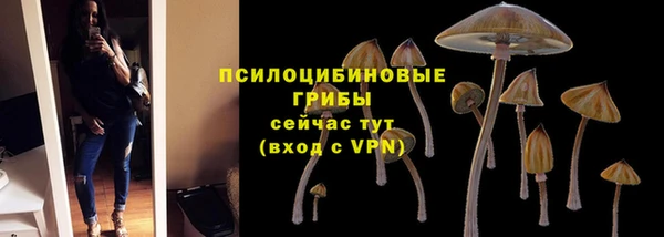 спайс Вязьма