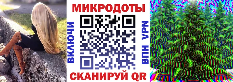 где найти наркотики блэк спрут Галлюциногенные грибы мицелий даркнет как зайти Яранск